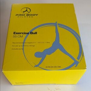 Grey Pro Body exercise ball.